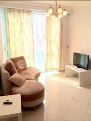 The Sunny Spring (D14), Apartment #178558252